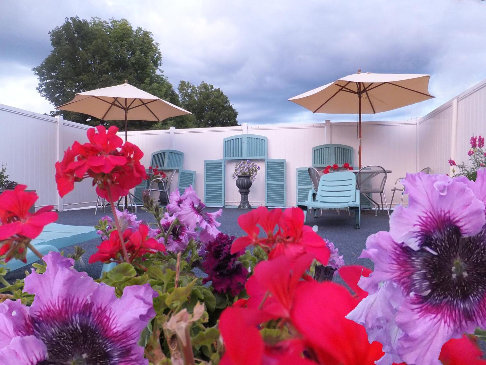 Windsor Motel Λίμνη George Εξωτερικό φωτογραφία