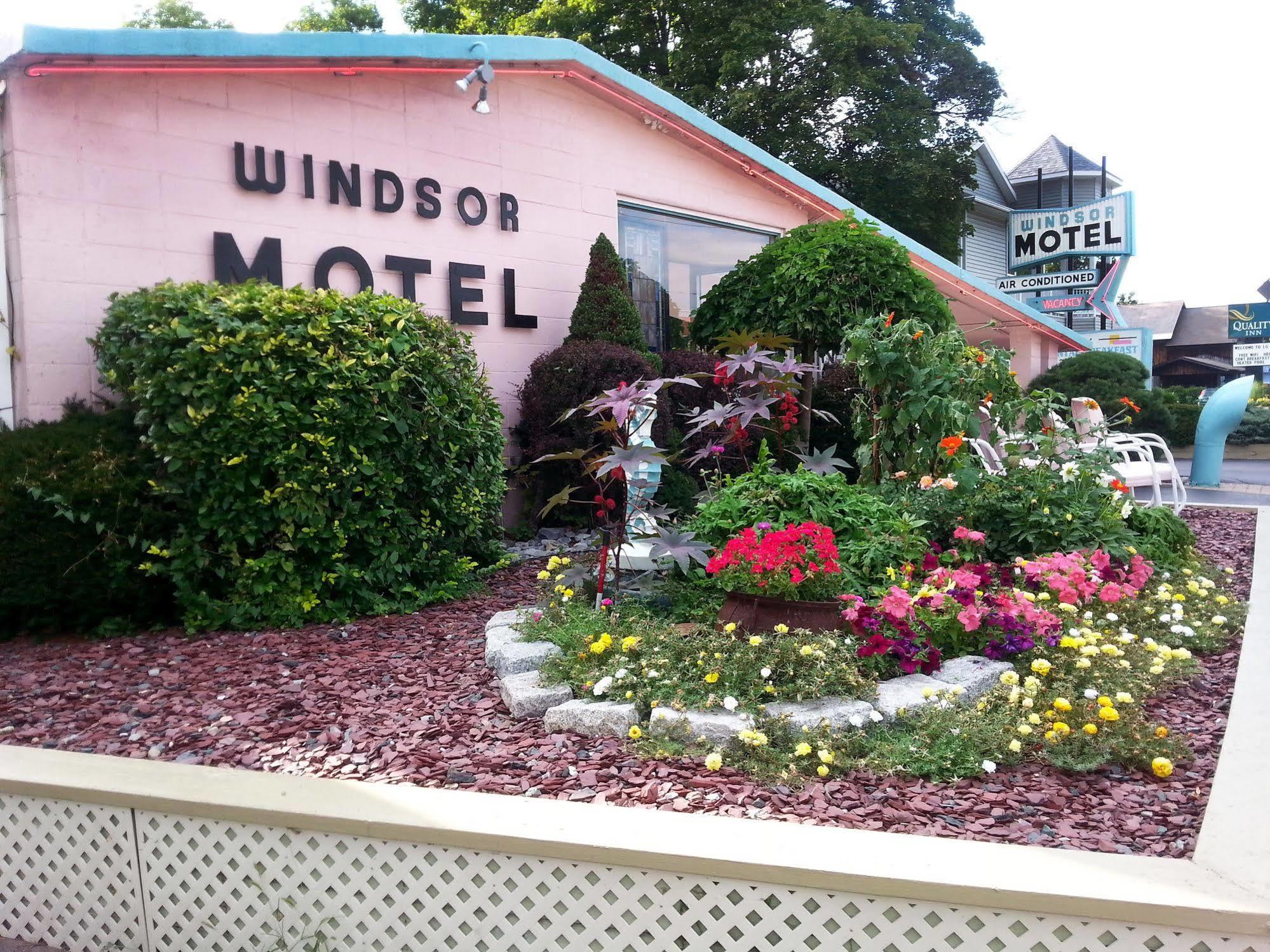 Windsor Motel Λίμνη George Εξωτερικό φωτογραφία